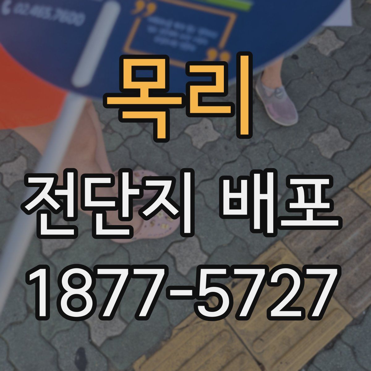 목리 전단지 배포