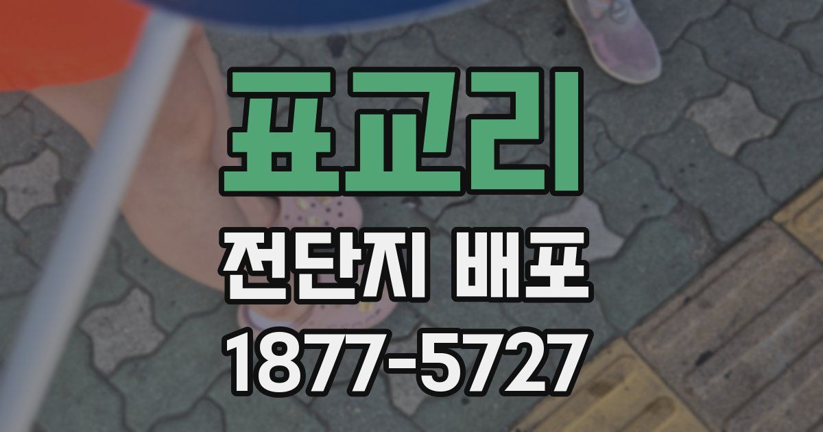 표교리 전단지 배포