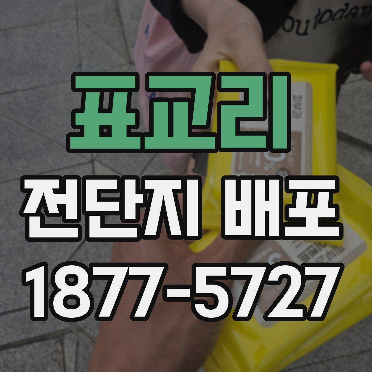 표교리 전단지 배포