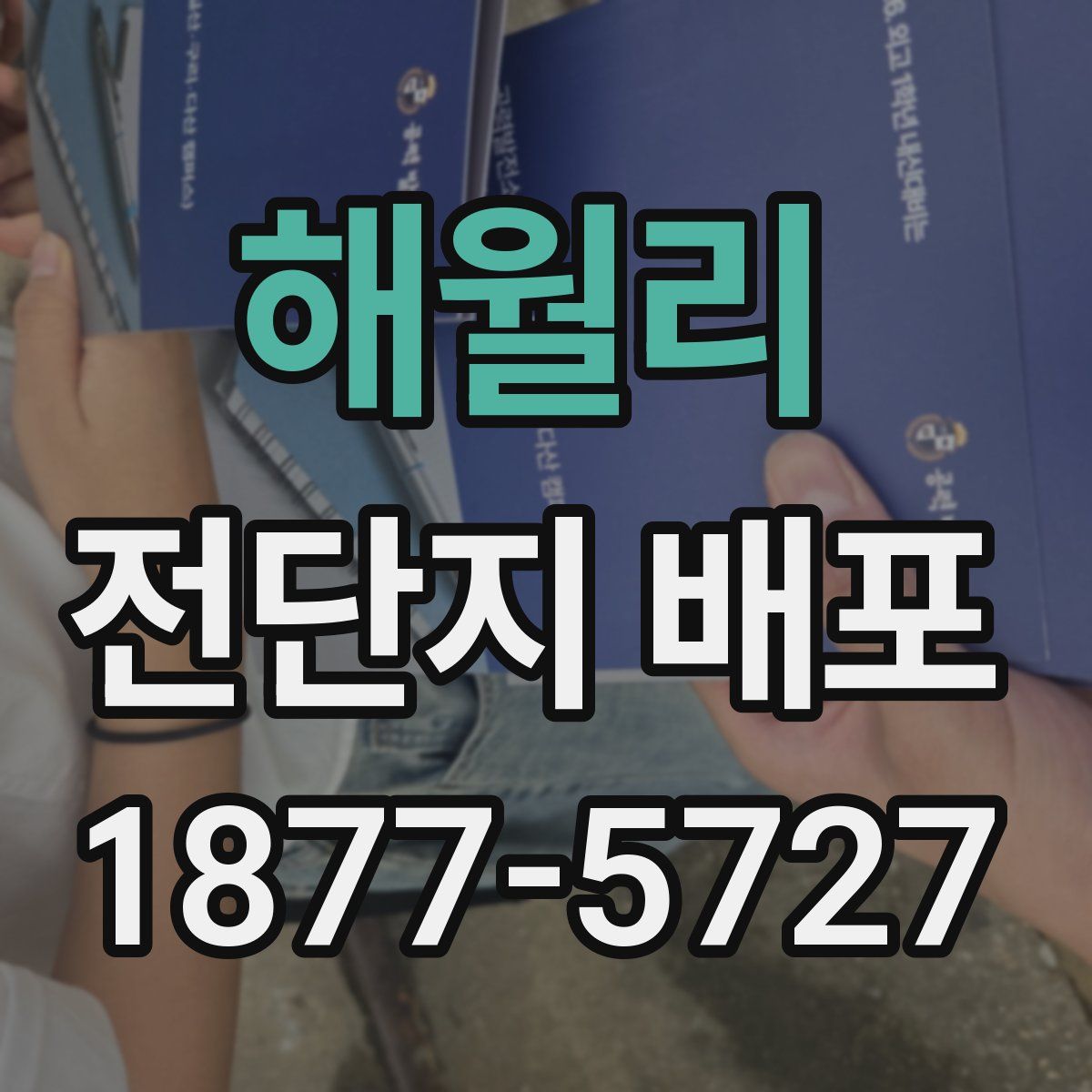 해월리 전단지 배포