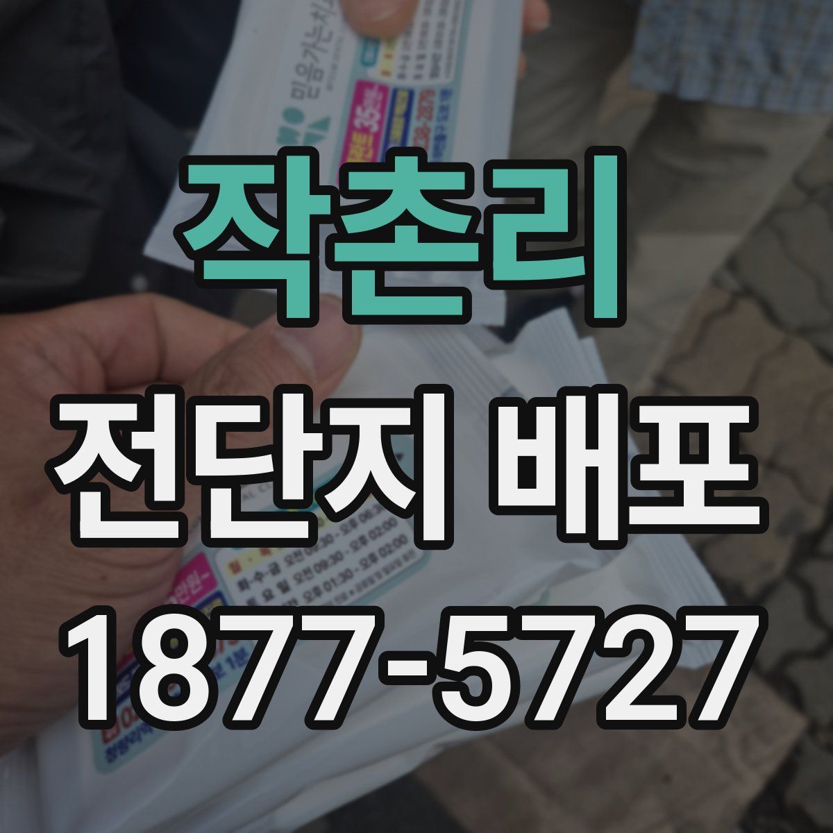 작촌리 전단지 배포