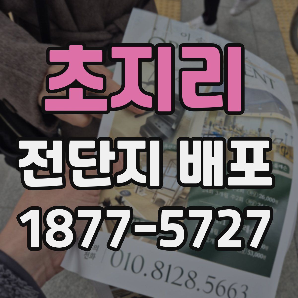 초지리 전단지 배포