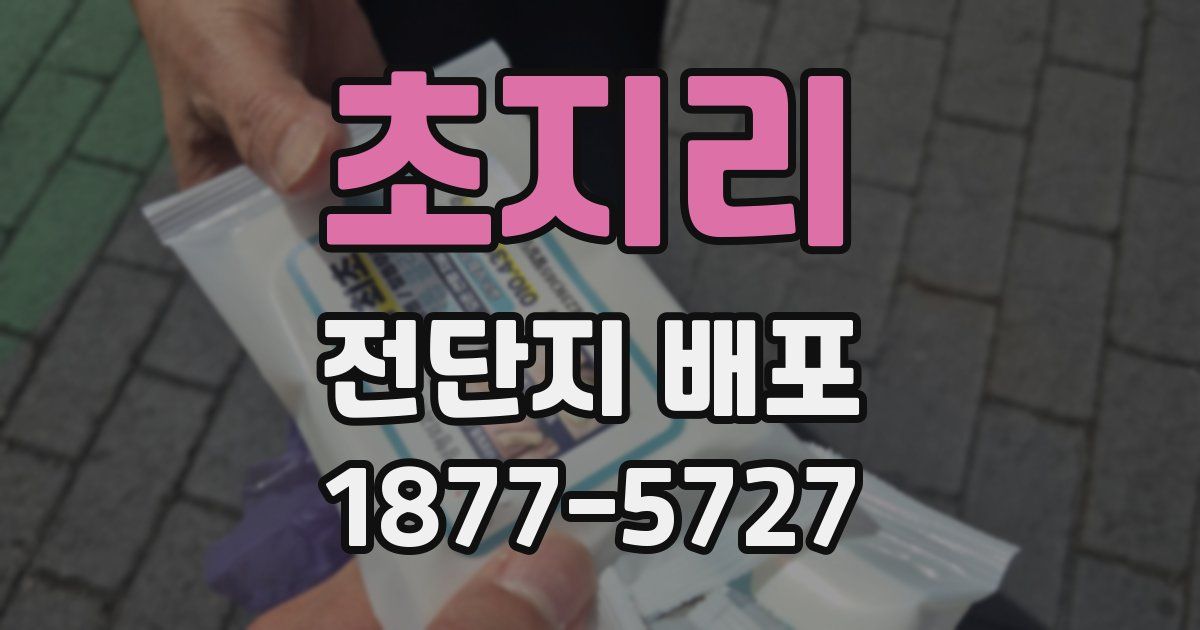 초지리 전단지 배포