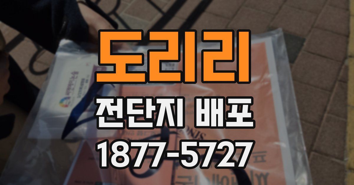 도리리 전단지 배포