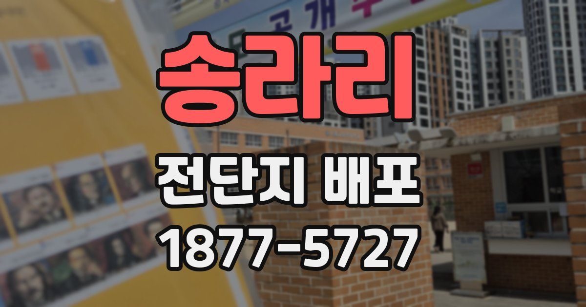 송라리 전단지 배포