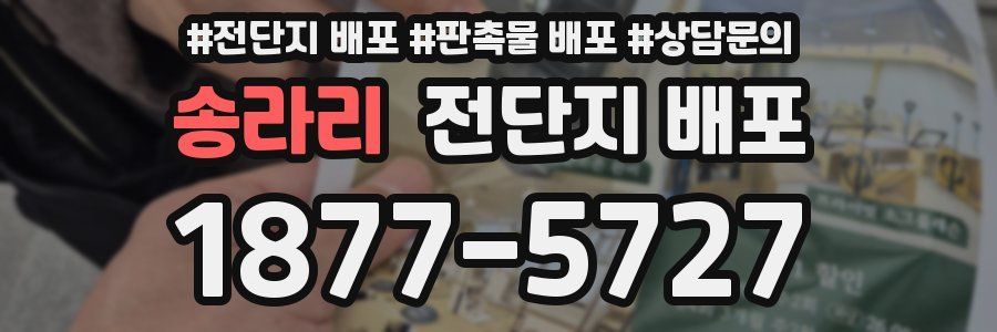 송라리 전단지 배포