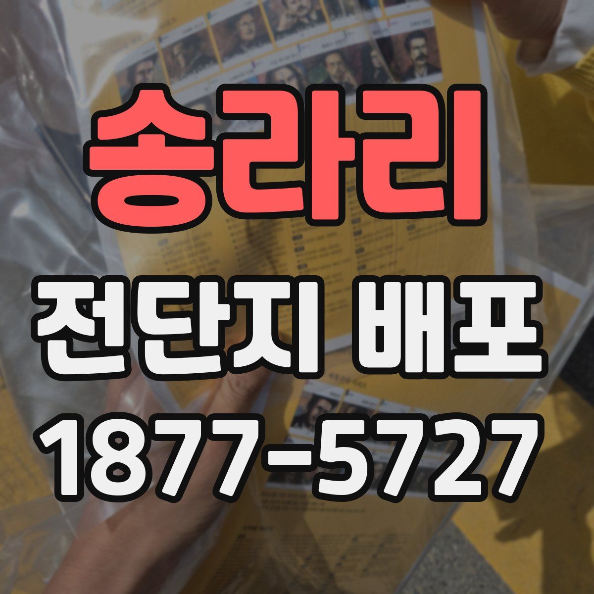 송라리 전단지 배포