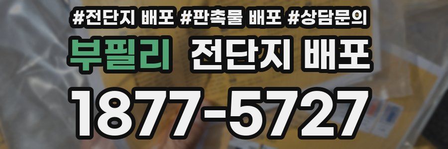 부필리 전단지 배포