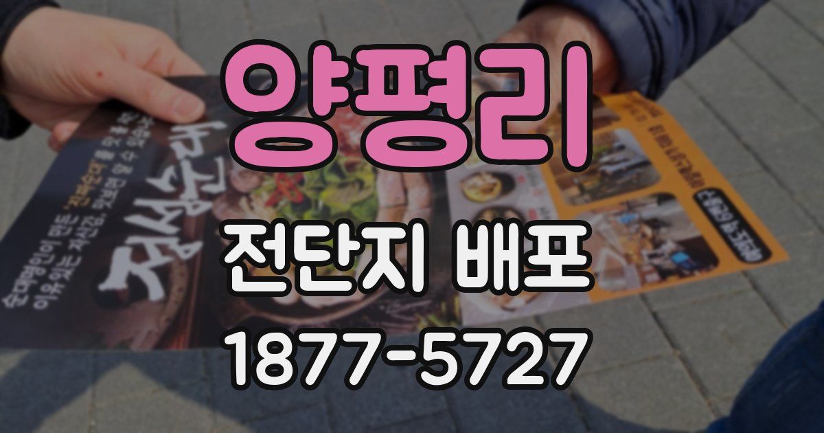 양평리 전단지 배포