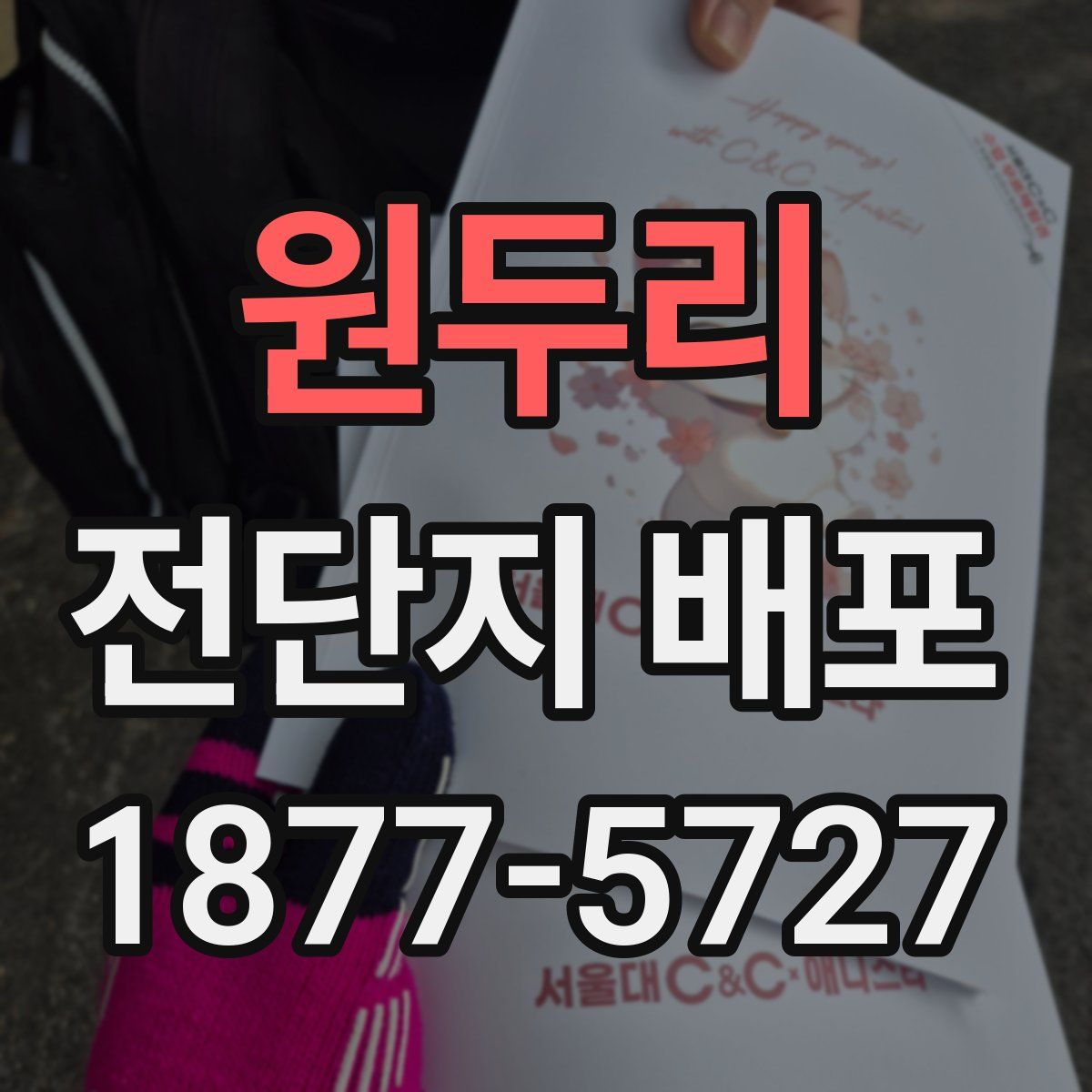 원두리 전단지 배포