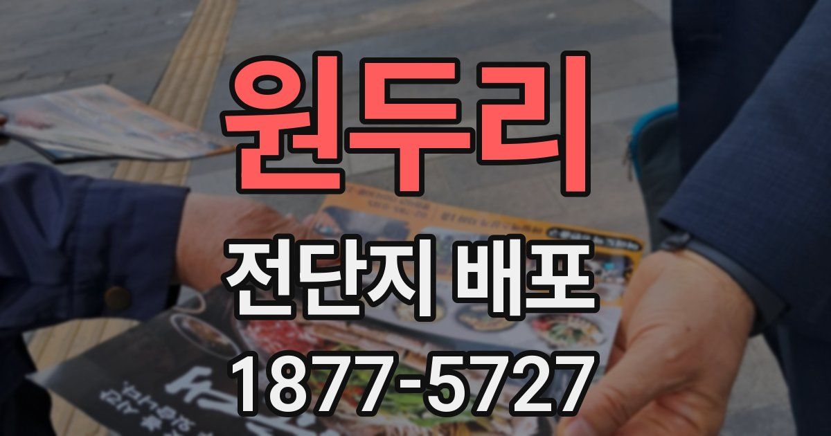 원두리 전단지 배포
