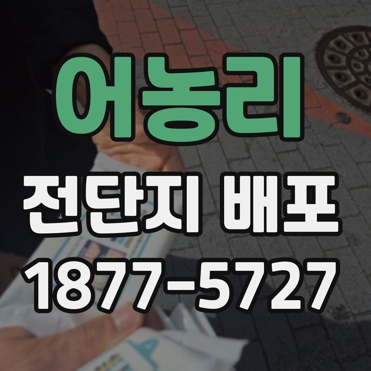 어농리 전단지 배포