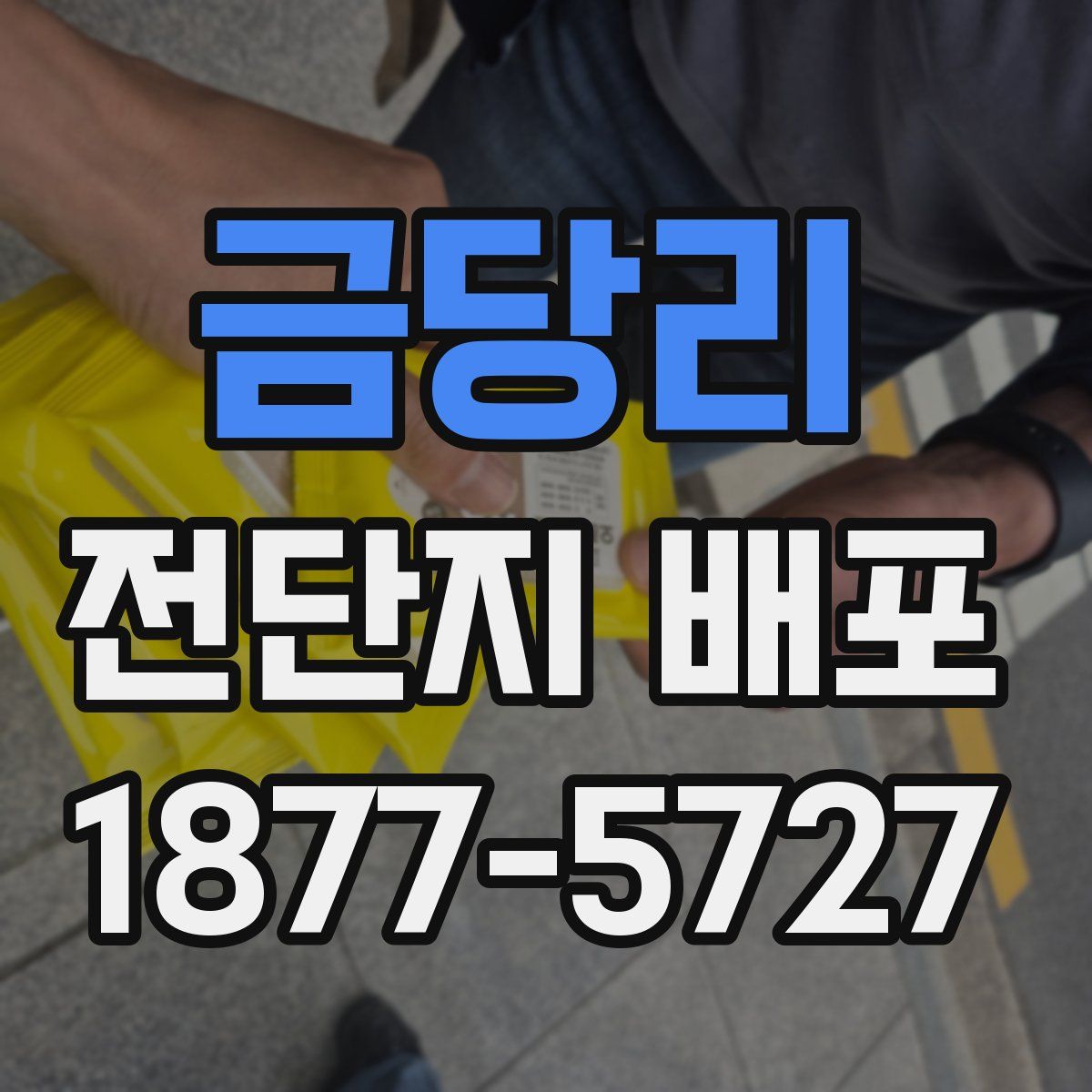 금당리 전단지 배포
