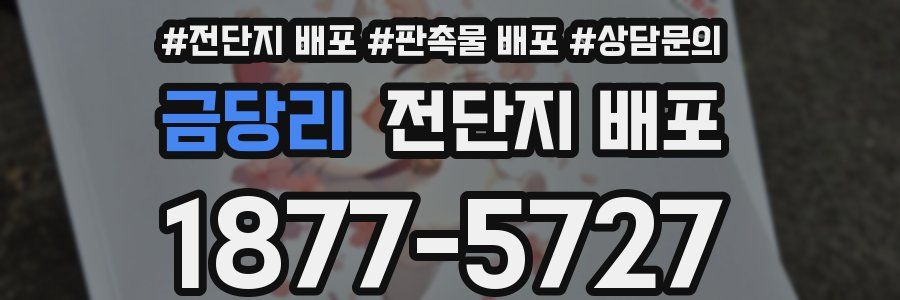 금당리 전단지 배포