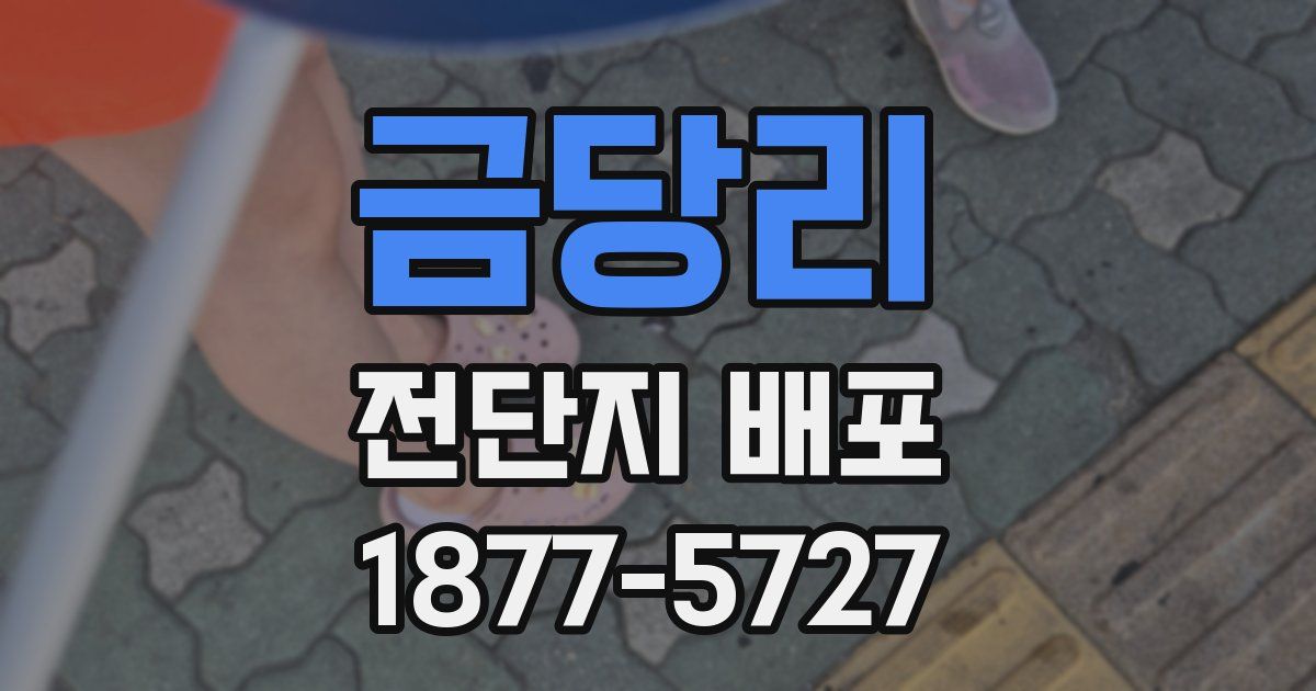금당리 전단지 배포