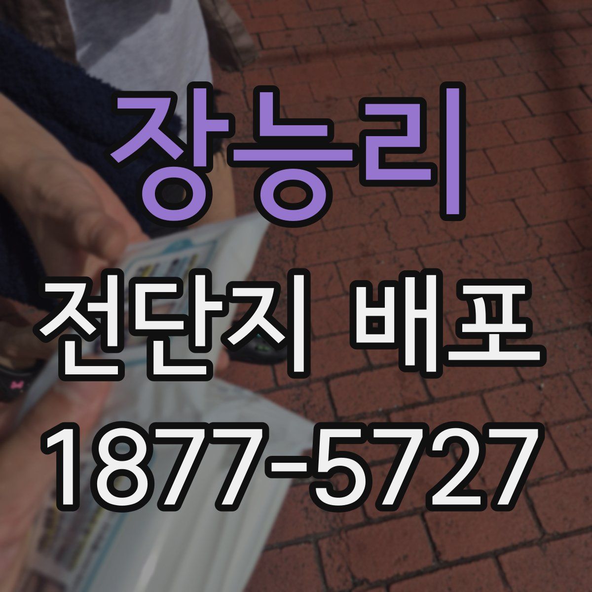 장능리 전단지 배포