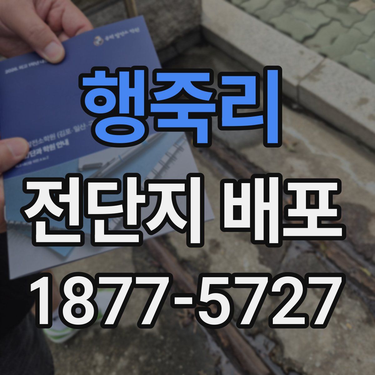 행죽리 전단지 배포