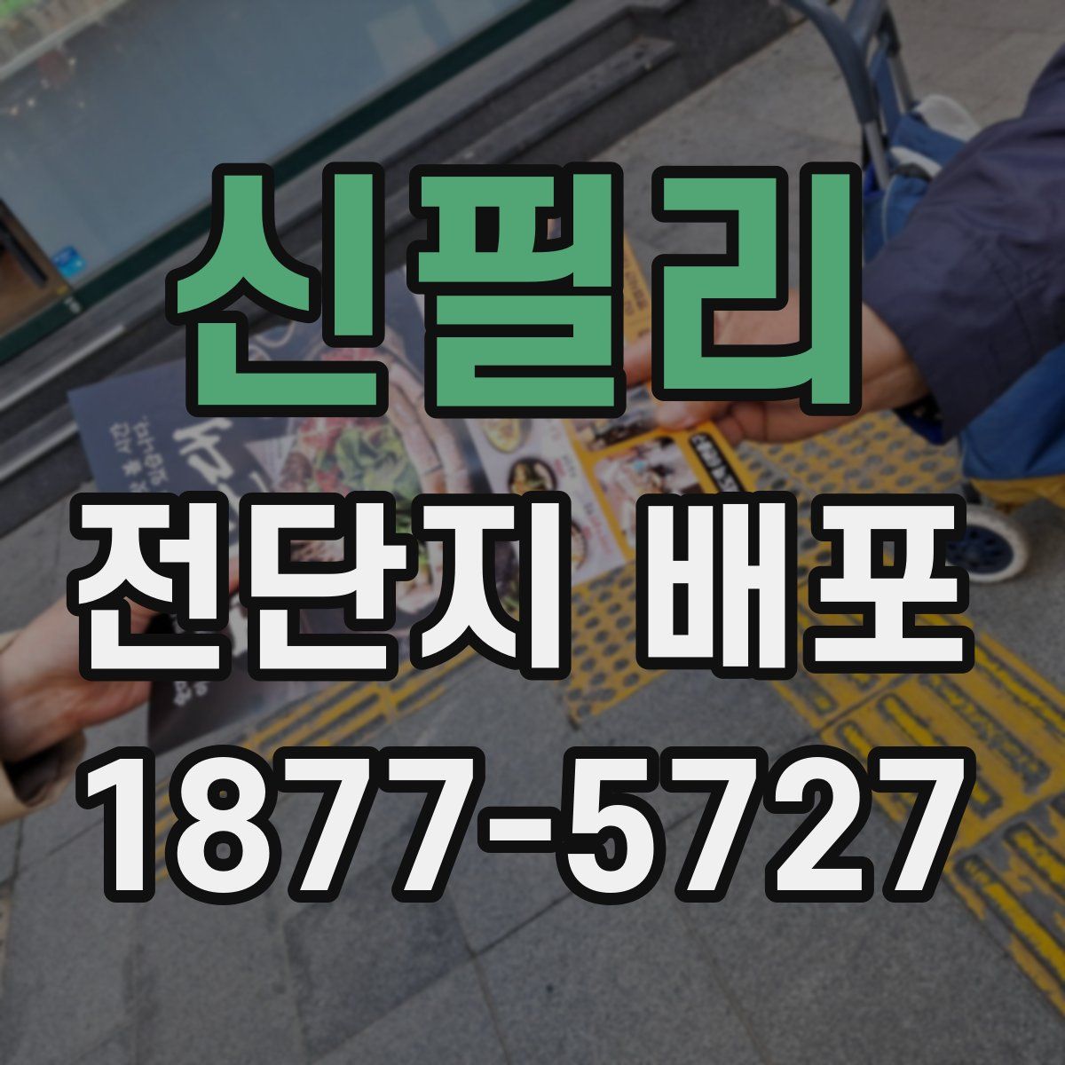신필리 전단지 배포