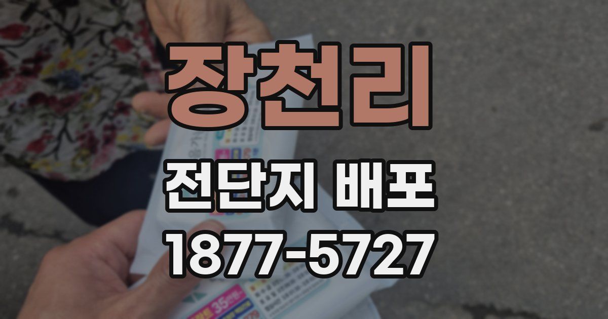 장천리 전단지 배포