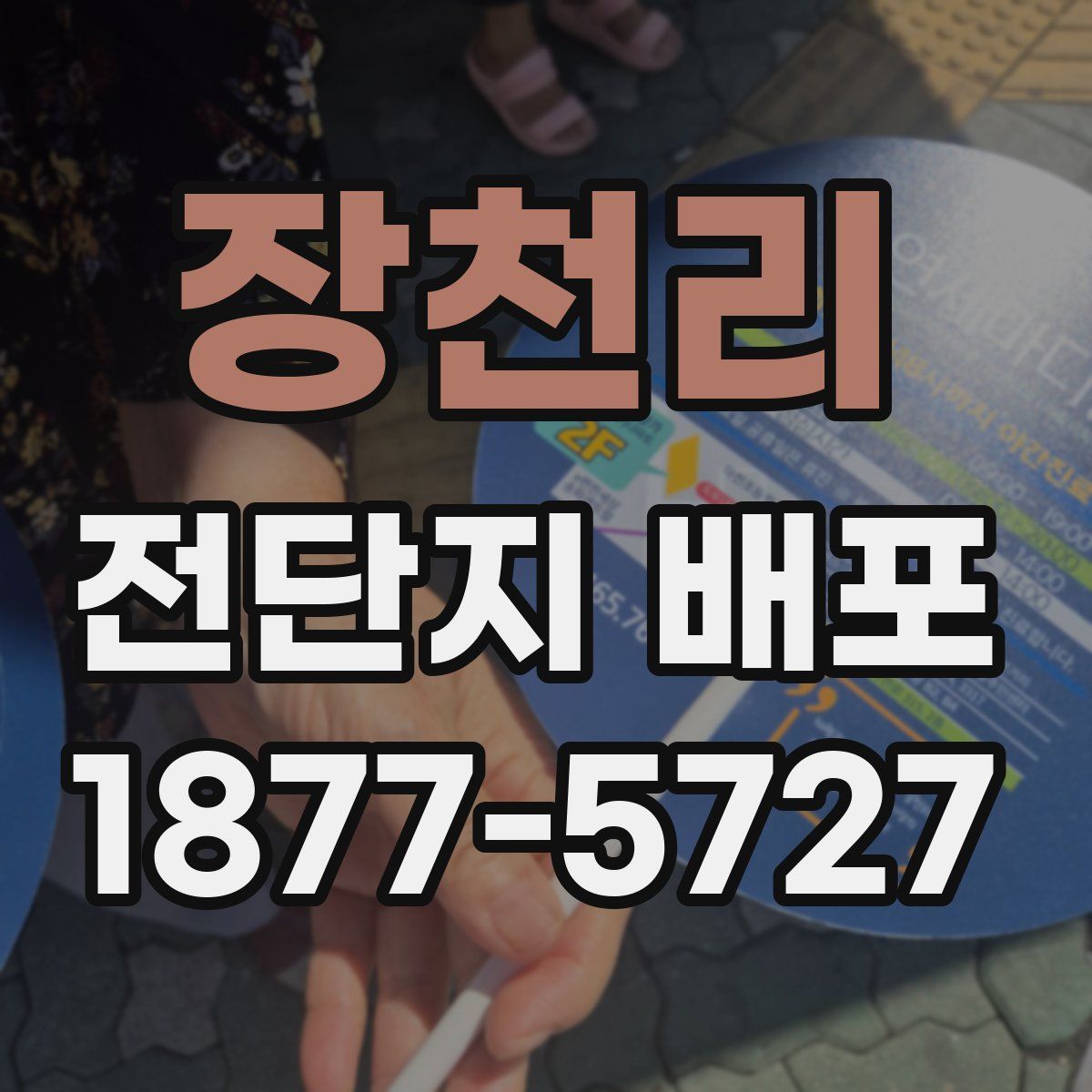 장천리 전단지 배포