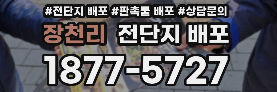 장천리 전단지 배포