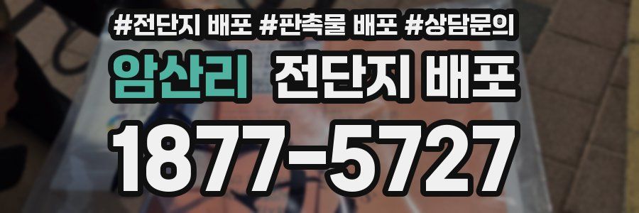 암산리 전단지 배포