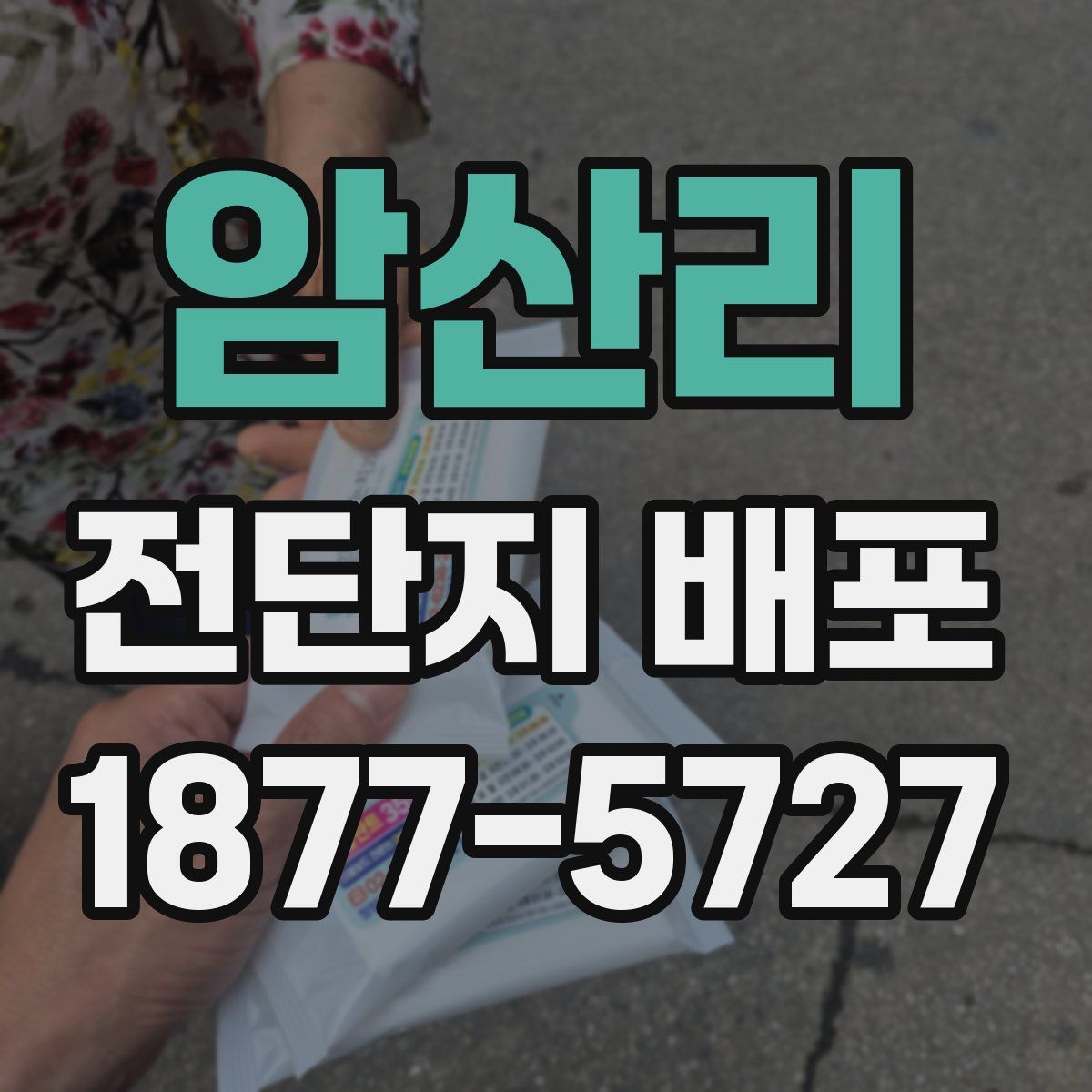 암산리 전단지 배포