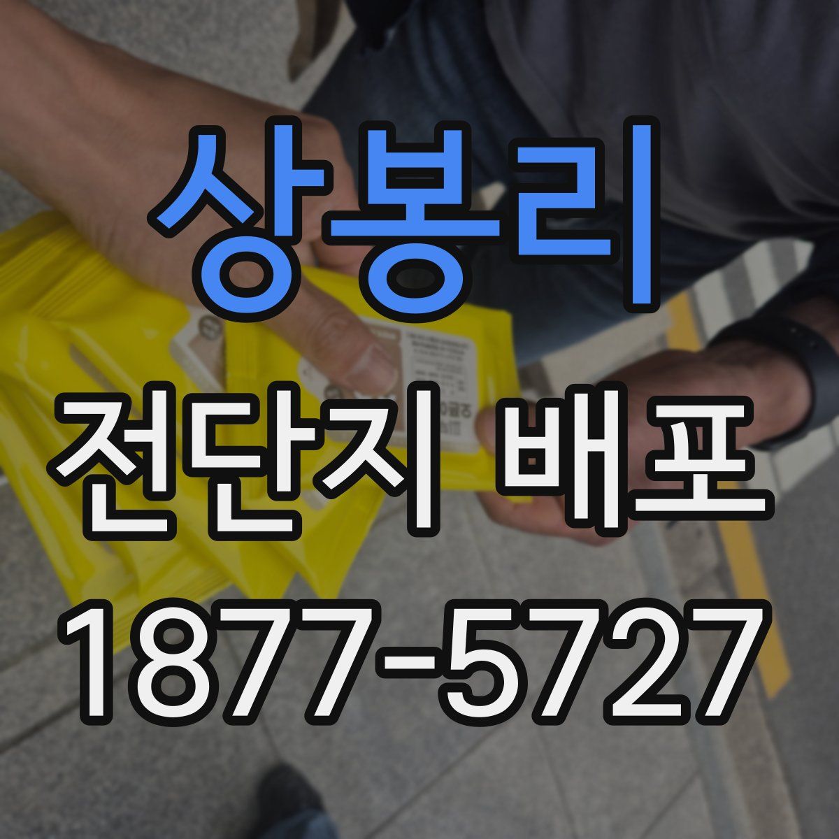 상봉리 전단지 배포