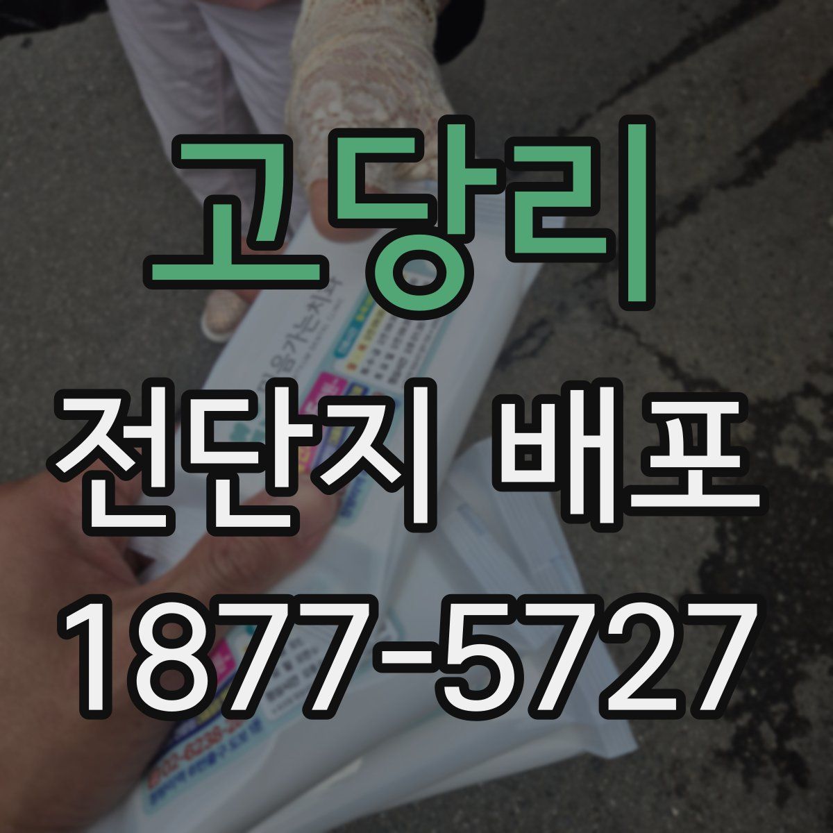 고당리 전단지 배포