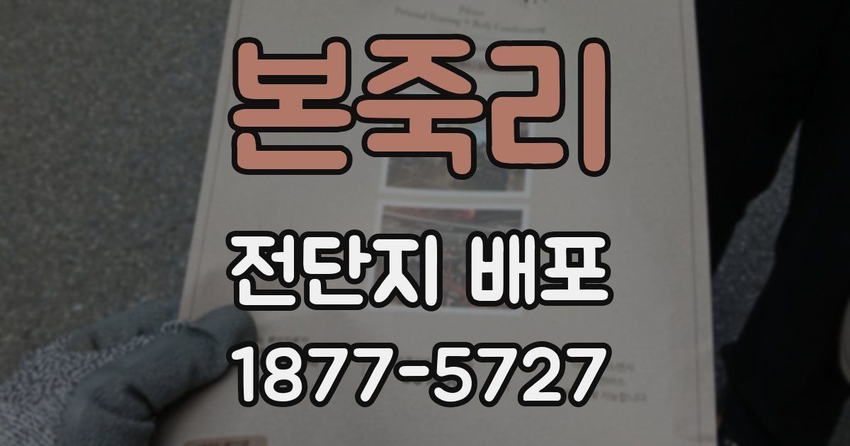 본죽리 전단지 배포