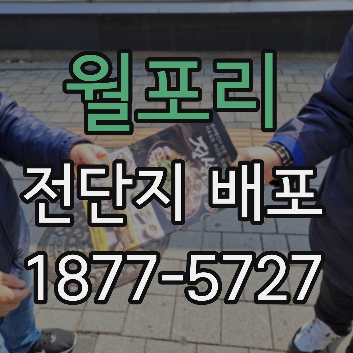 월포리 전단지 배포