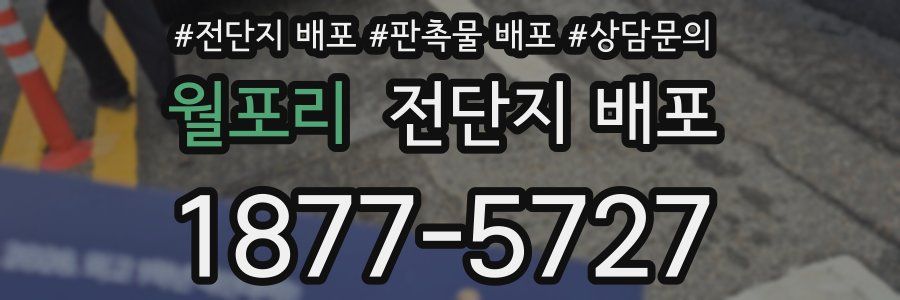월포리 전단지 배포
