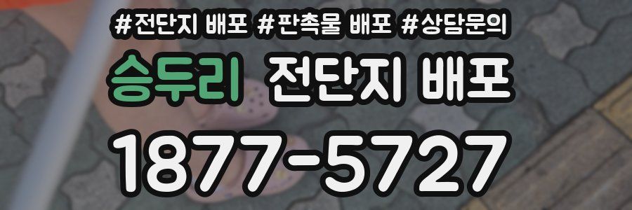 승두리 전단지 배포