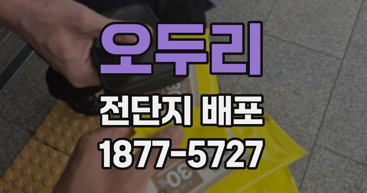 오두리 전단지 배포