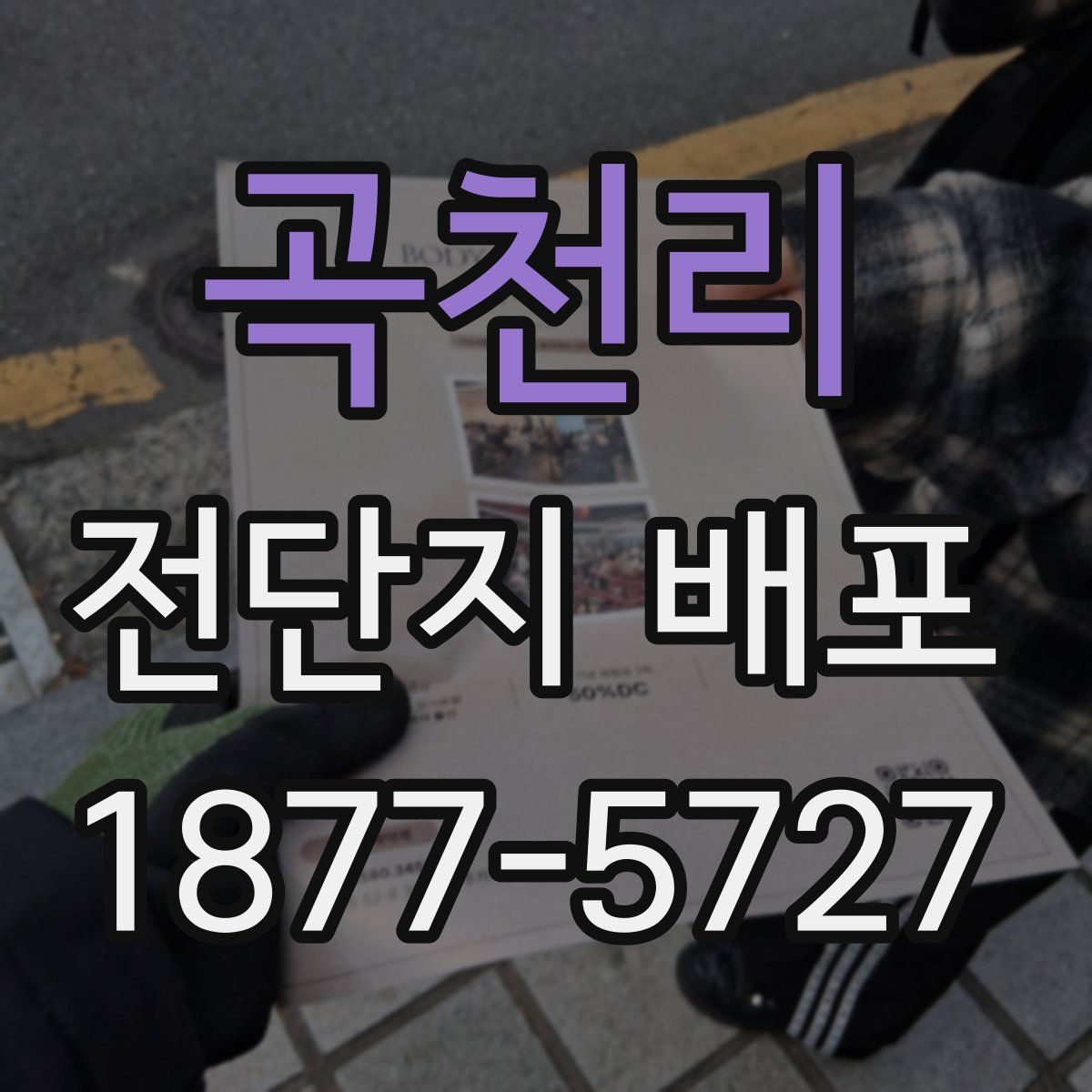 곡천리 전단지 배포