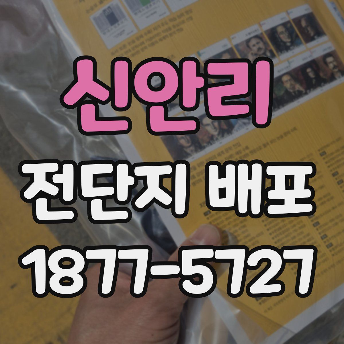 신안리 전단지 배포