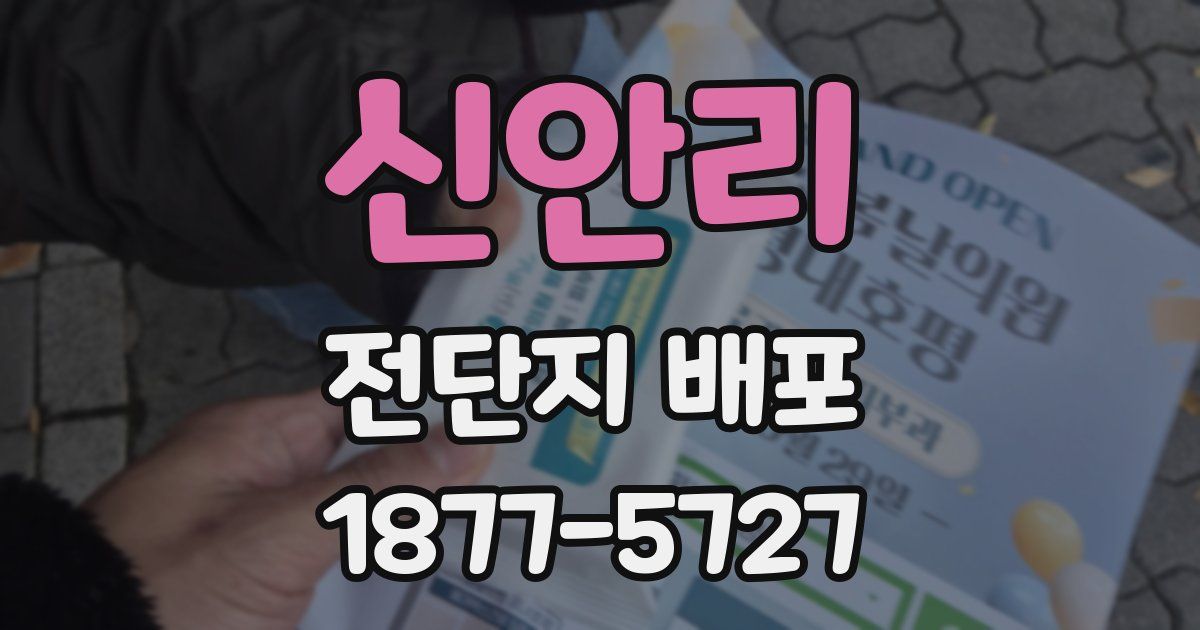 신안리 전단지 배포