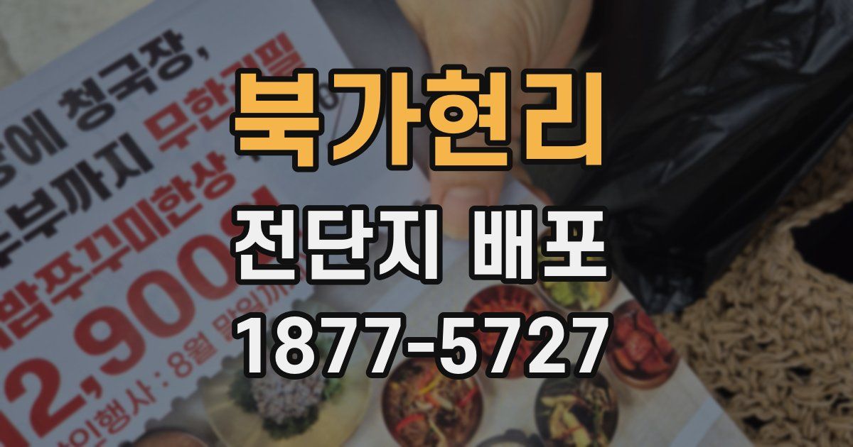 북가현리 전단지 배포