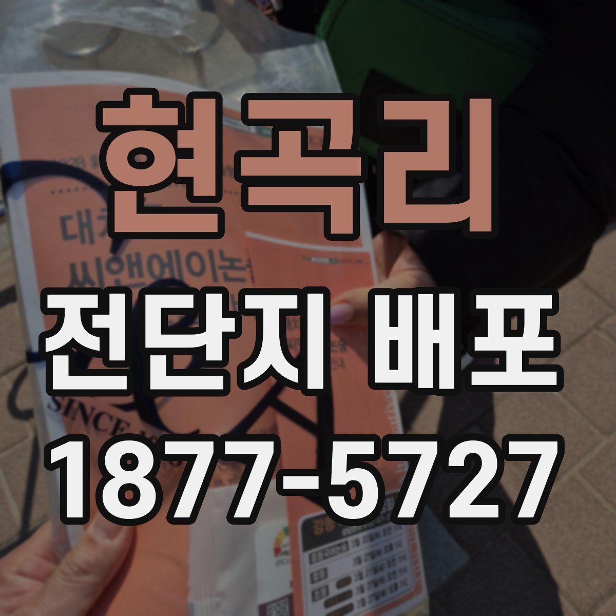 현곡리 전단지 배포