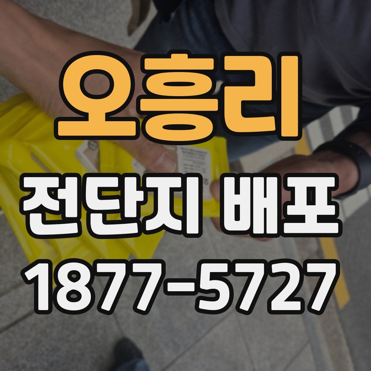 오흥리 전단지 배포