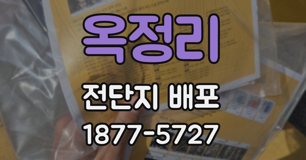 옥정리 전단지 배포