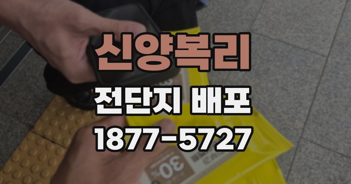 신양복리 전단지 배포