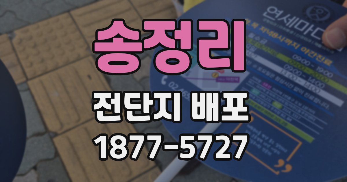 송정리 전단지 배포