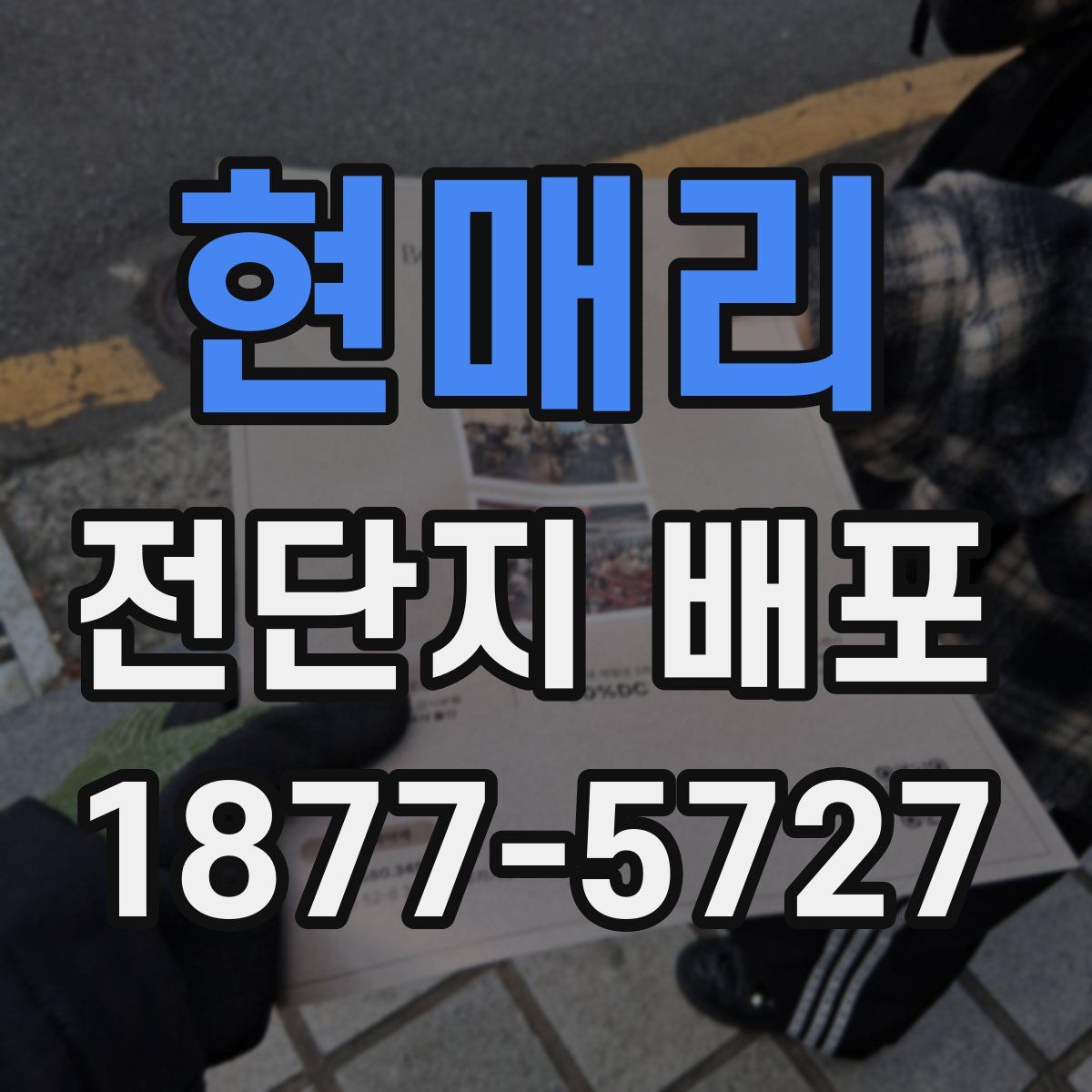 현매리 전단지 배포