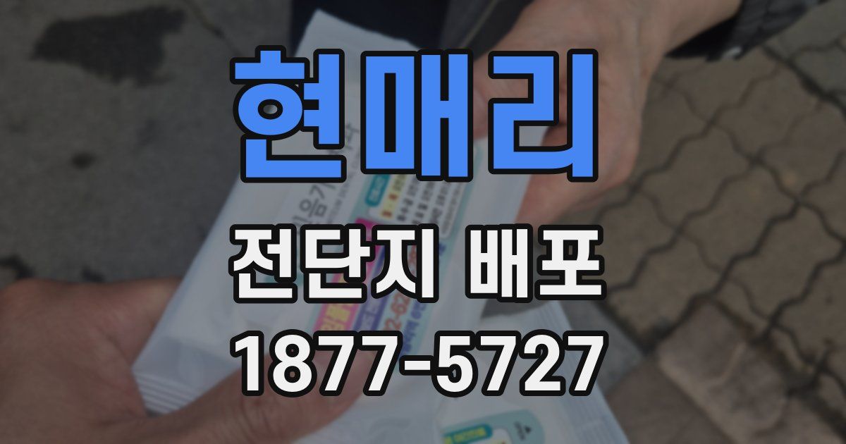 현매리 전단지 배포