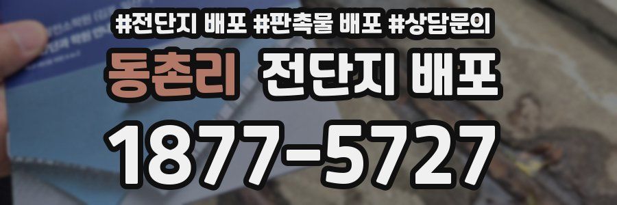 동촌리 전단지 배포