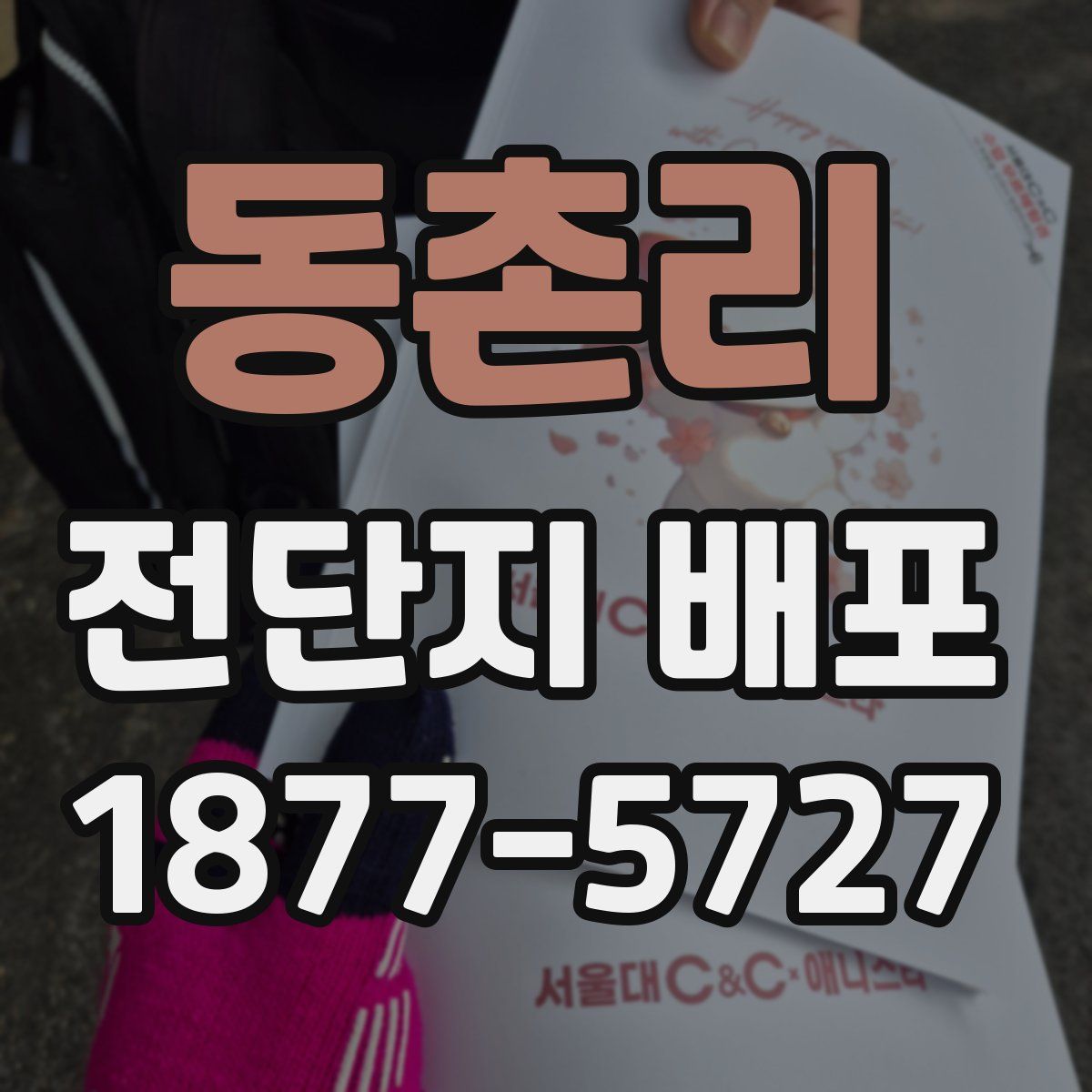 동촌리 전단지 배포