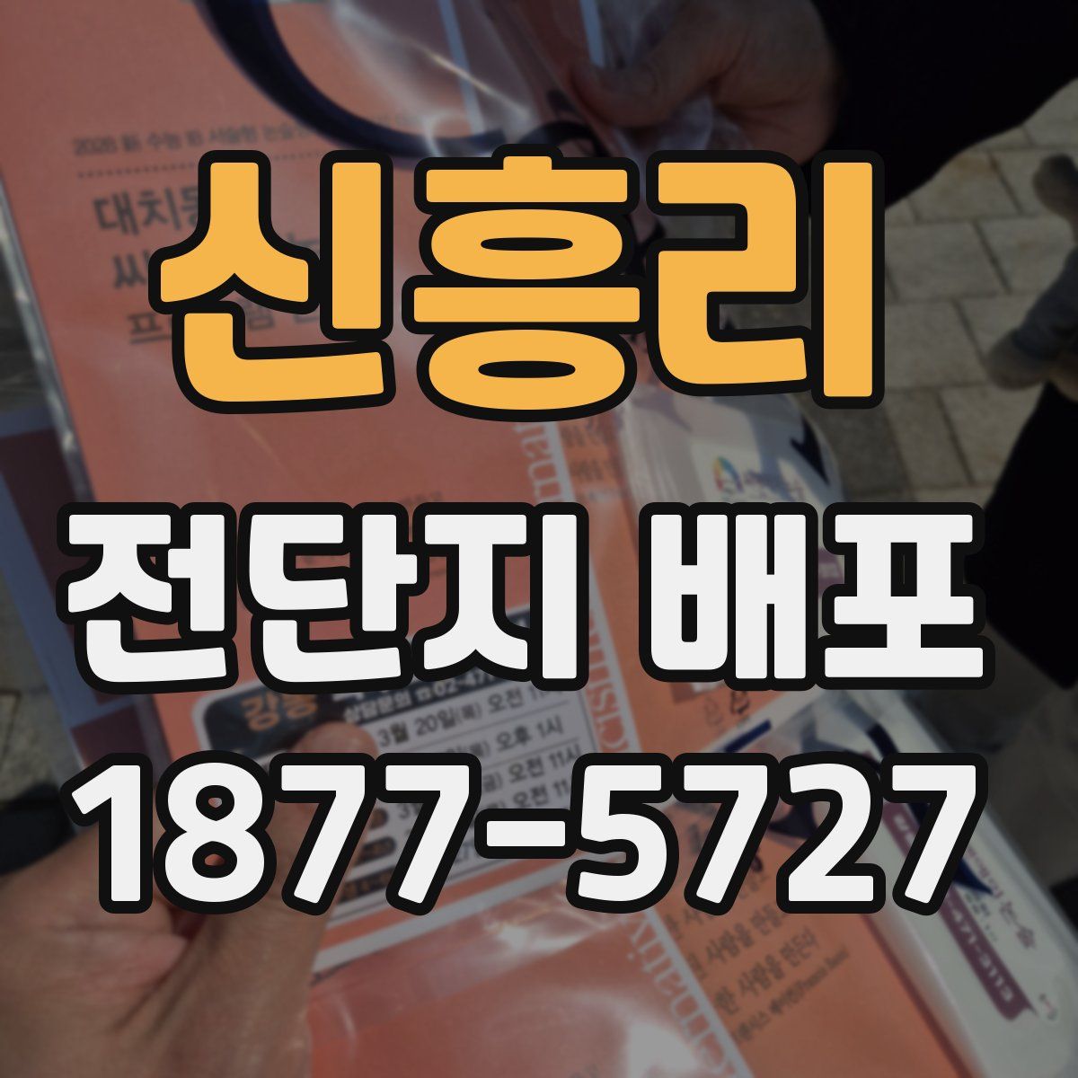신흥리 전단지 배포