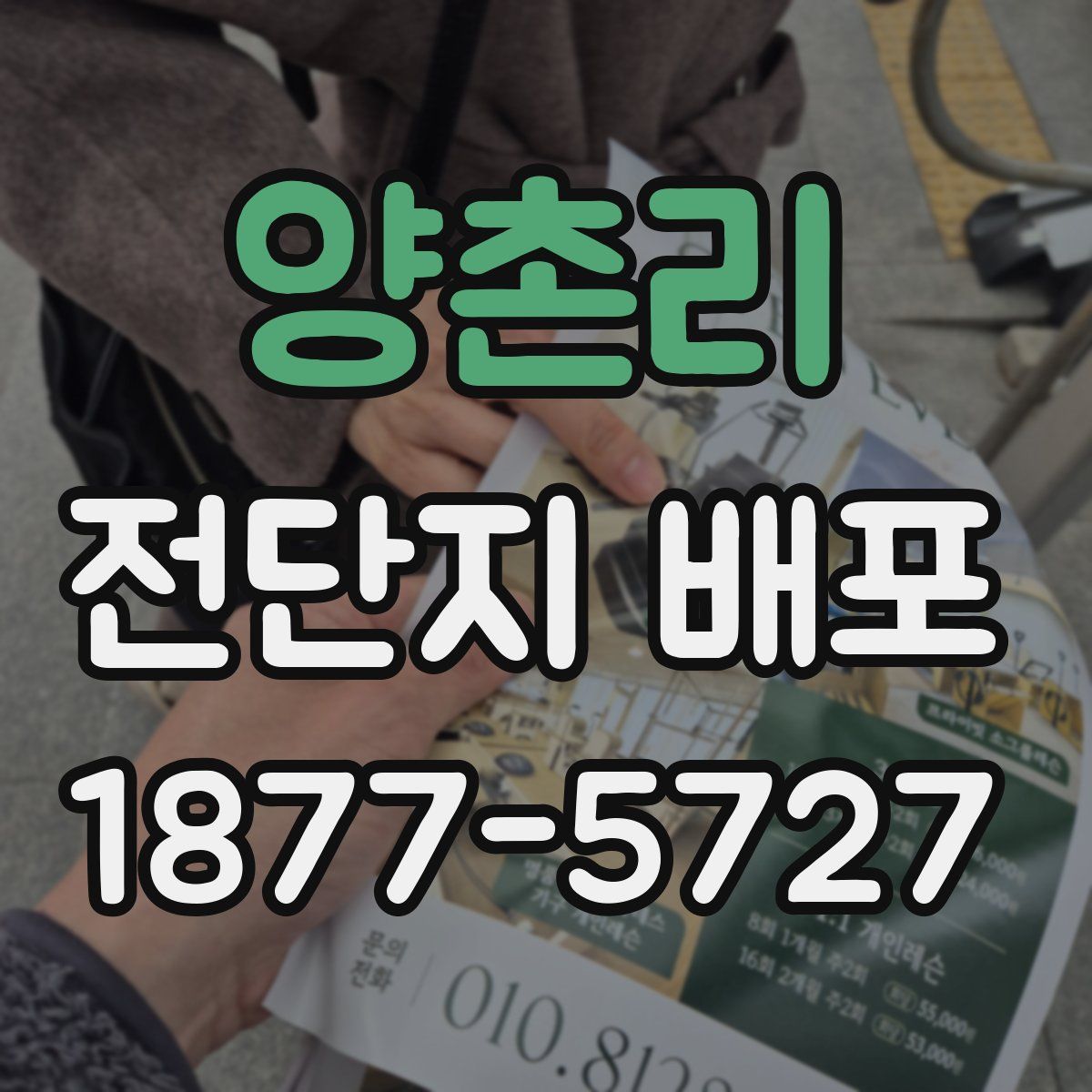 양촌리 전단지 배포