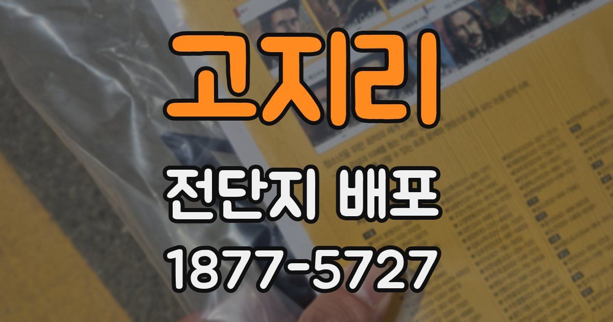 고지리 전단지 배포